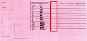 2013 visuel nouveau permis conduire rose verso.jpg 450×217